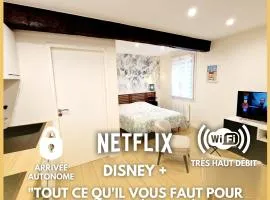 Studio cosy à Cailloux Proche Lyon & nature