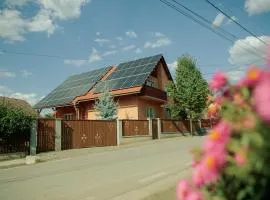 Vidéki Vendégház - Pensiune Rurală