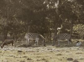 Wild Paradise Farmstay，位于Lorraine的酒店