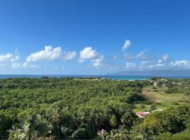 Appartement vue mer aux Salines le gosier，位于Saint-Félix的酒店