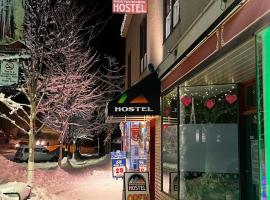 Mountain Shadow Hostel，位于罗斯兰的酒店