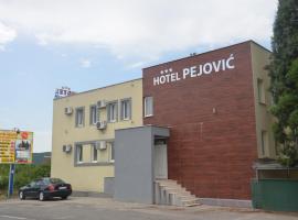 Hotel Pejović，位于Danilovgrad的酒店