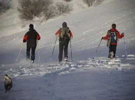 Chalets et gîtes d'Orlu