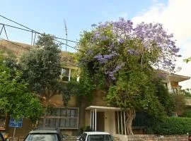 Apartment in Byblos Historical Center