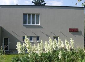 DIVADELNÍ PENZION，位于Bukovany的酒店