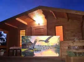 W Żurawim Zaciszu - Karwik