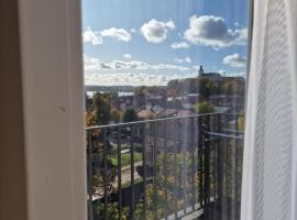 Laisvės Apartamentai，位于特尔希艾的酒店