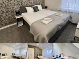 Grey apartments "Easy Kaunas"，位于考纳斯的酒店