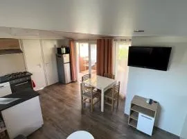 Détente et nature au bord du Rhône