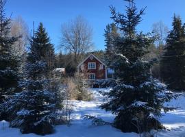 Hytte i Nordlige Varmland ved Branas，位于Likenäs的酒店