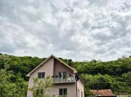 Apartman Gavro