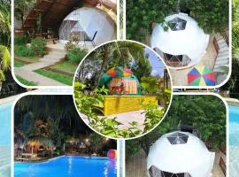 Eco Glamping Treehouses Closest Resort To All Tourist Attractions