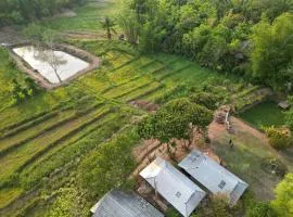 HIDDEN VIBES House 2