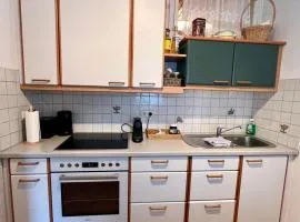 Ferienwohnung Museum Huemer