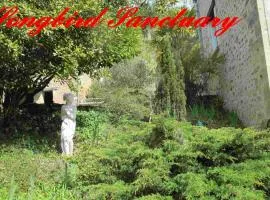 Songbird Sanctuary