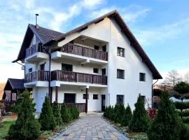 Pensiunea Izvorul Liniștii