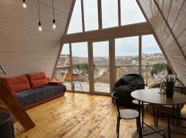 Green House，位于卡缅涅茨-波多利斯基的酒店