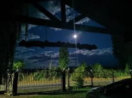 Molina, cerca de 7 Tazas, campo con animales