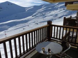 Valle Nevado Apartamento Ski In Out，位于巴耶内瓦的酒店