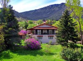Villa Arcadia，位于Vlakhérna的酒店