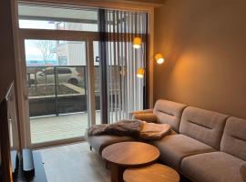 Modern and scandinavian style apartment with parking，位于特隆赫姆的酒店