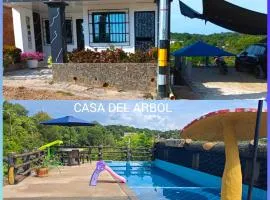 Casa Del Árbol