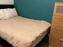 Cozy private room in South London