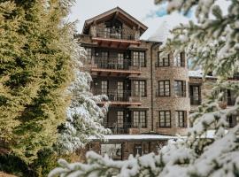 阿巴夏洛特套房酒店，位于西斯伯尼的带泳池的酒店