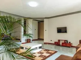 Affordable Homely Apartment 2