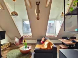 LTS RENT Luxury&Comfortable Etno Loft OLD TOWN free parking