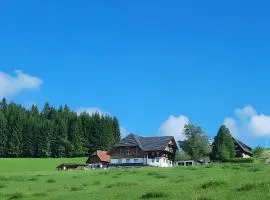 Lorenzenhäusle Titisee-Neustadt