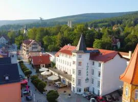 Dobrzyński Resort Topaz