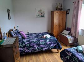 Home in the beautiful Meath countryside，位于Dunshaughlin的酒店