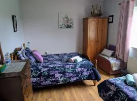 Home in the beautiful Meath countryside