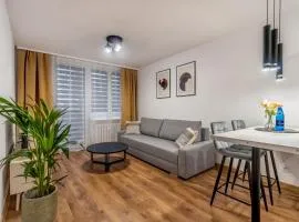 Apartament w centrum II, PW INVEST HOME