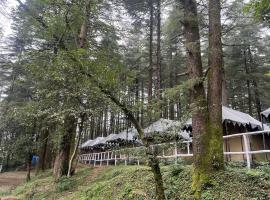 Himtrek Camps Mcleodganj，位于达兰萨拉的酒店