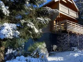 Chalet authentique au calme, en lisière de forêt, montagne, sentiers 15mn Gérardmer & Alsace "Chalet Mon beau sapin"