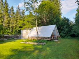 Glamping Lodge Hintersee，位于辛特湖的豪华帐篷