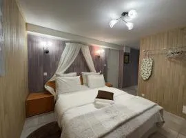 Chambre d'hôte grise avec petit dejeuner Sauna et jacuzzi en option