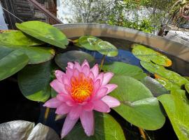 Lotus Garden - Île de la Réunion，位于Ravine des Cabris的酒店