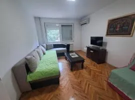 Dramski apartment