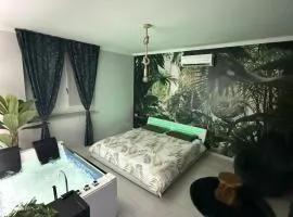 TROPICAL RHAPSODY - Jacuzzi & King Size a Torino Centro