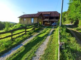 Vila Bella Vista，位于Gornja Brusovača的酒店