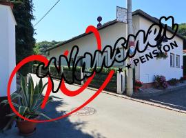 Pension Wansner，位于弗赖塔尔的酒店