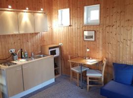 Ferienhaus Hankehübel，位于霍恩斯泰因的酒店