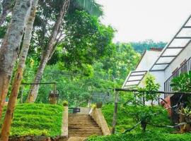Dhighayu Ayurvedic Wellness Resort，位于凯格勒的酒店