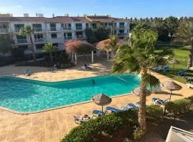 Vila Verde Calistemon
