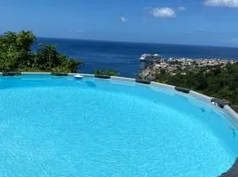 Fortune Sea view Villa
