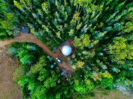 Domo con opcion a tinaja en medio del bosque