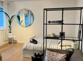 Beautiful central apartment GE，位于日内瓦的低价酒店